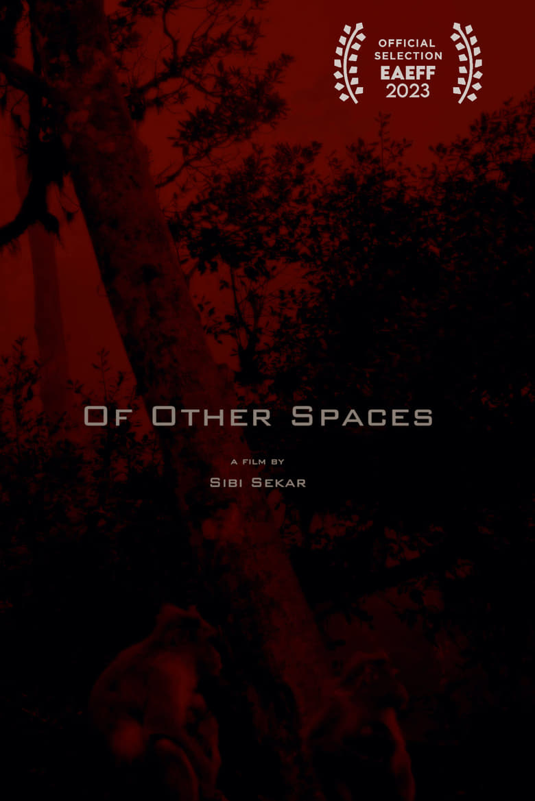 Poster of Of Other Spaces