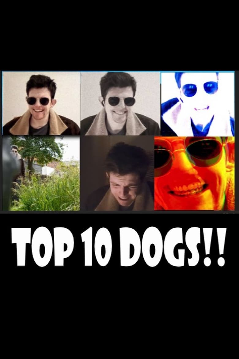 Poster of Top 10 Dogs!!