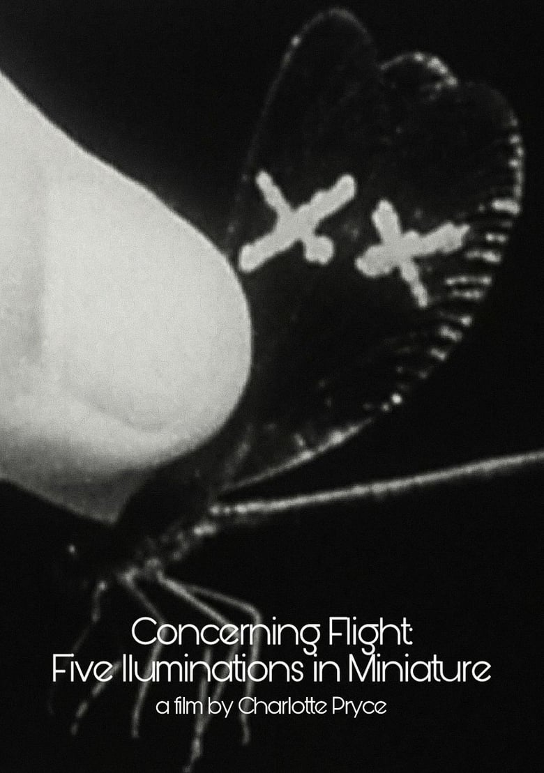 Poster of Concerning Flight: Five Illuminations In Miniature