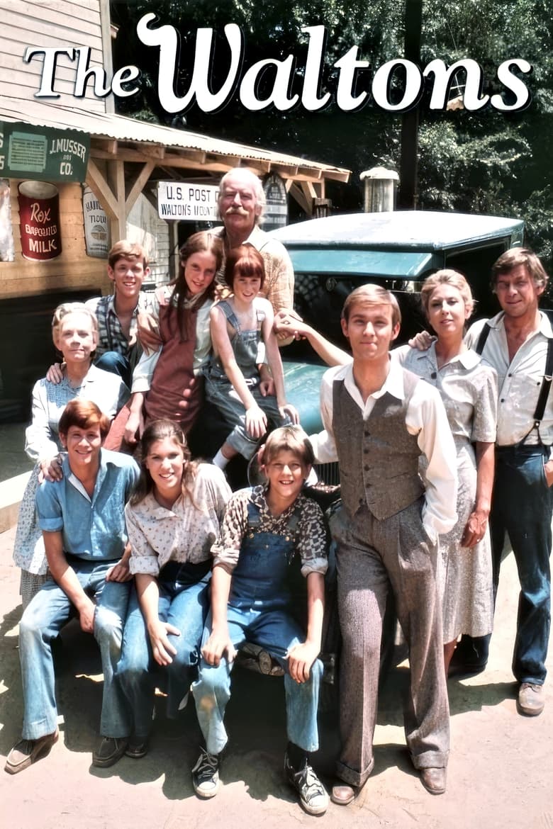 Poster of The Waltons