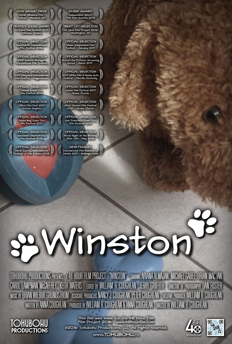 Poster of Winston