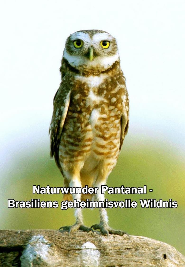 Poster of Naturwunder Pantanal - Brasiliens geheimnisvolle Wildnis