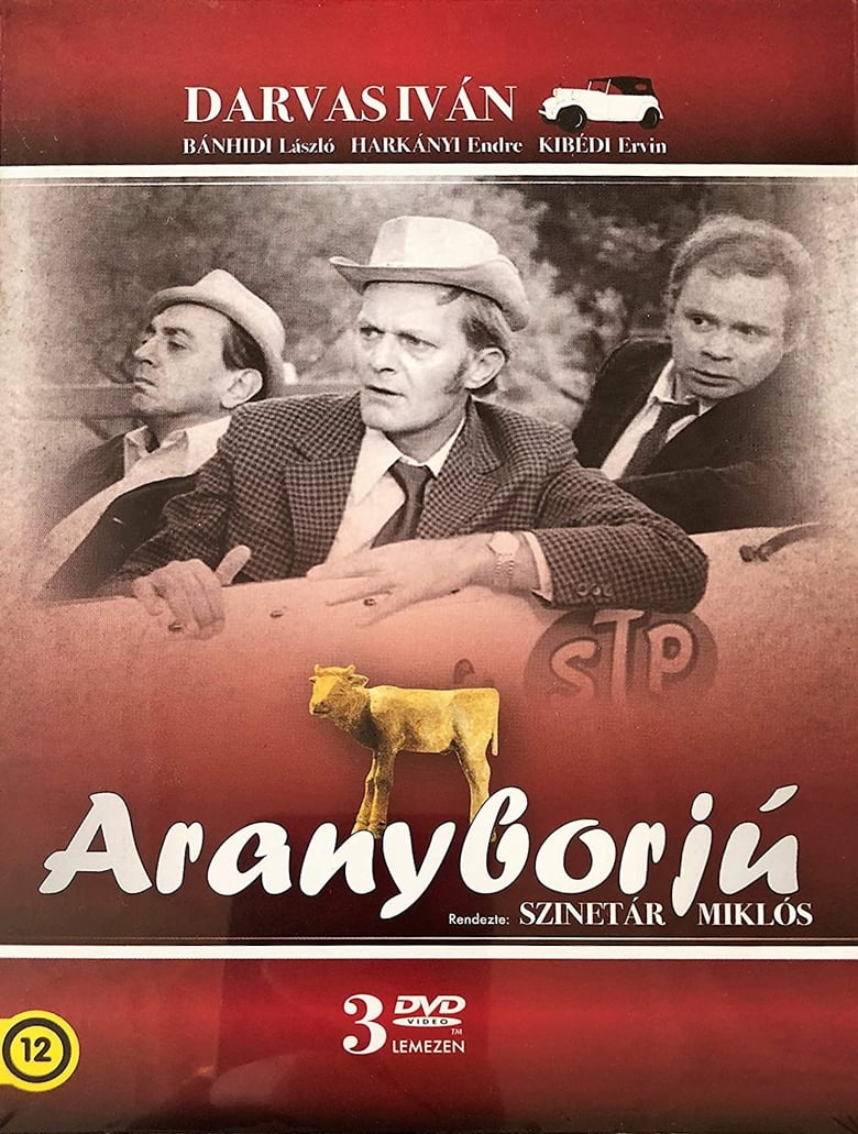 Poster of Aranyborjú