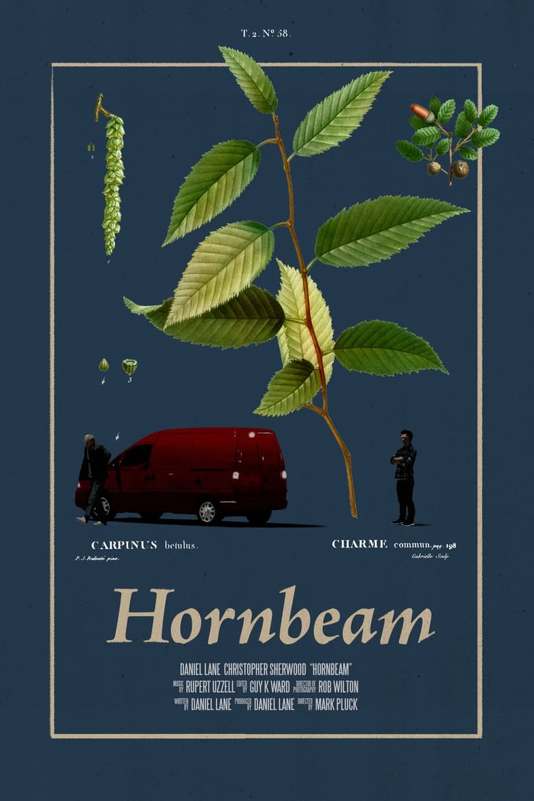 Poster of Hornbeam