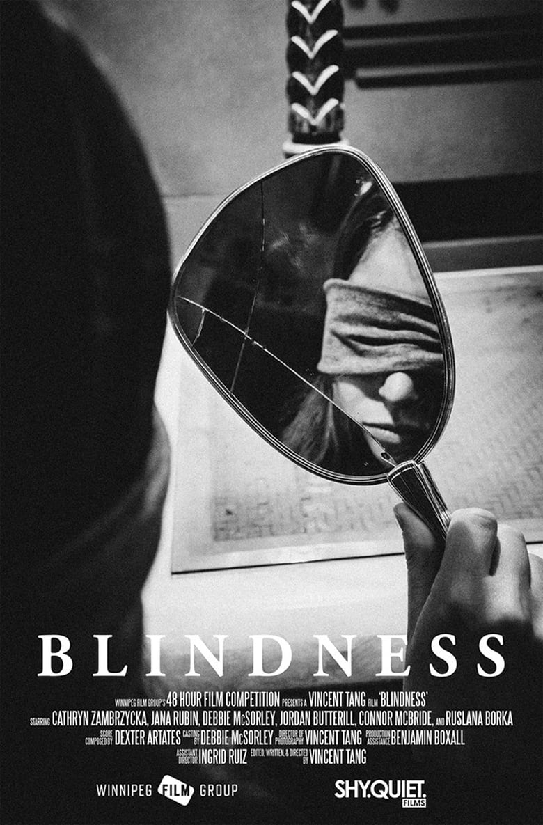 Poster of Blindness