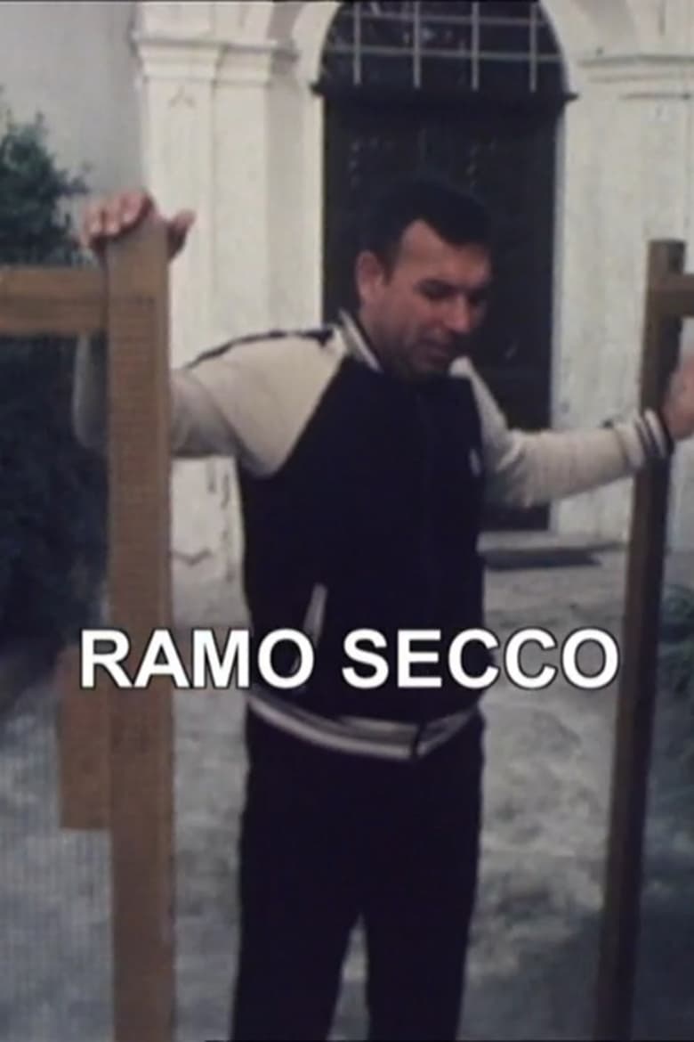 Poster of Zibaldino 86 Ramo secco