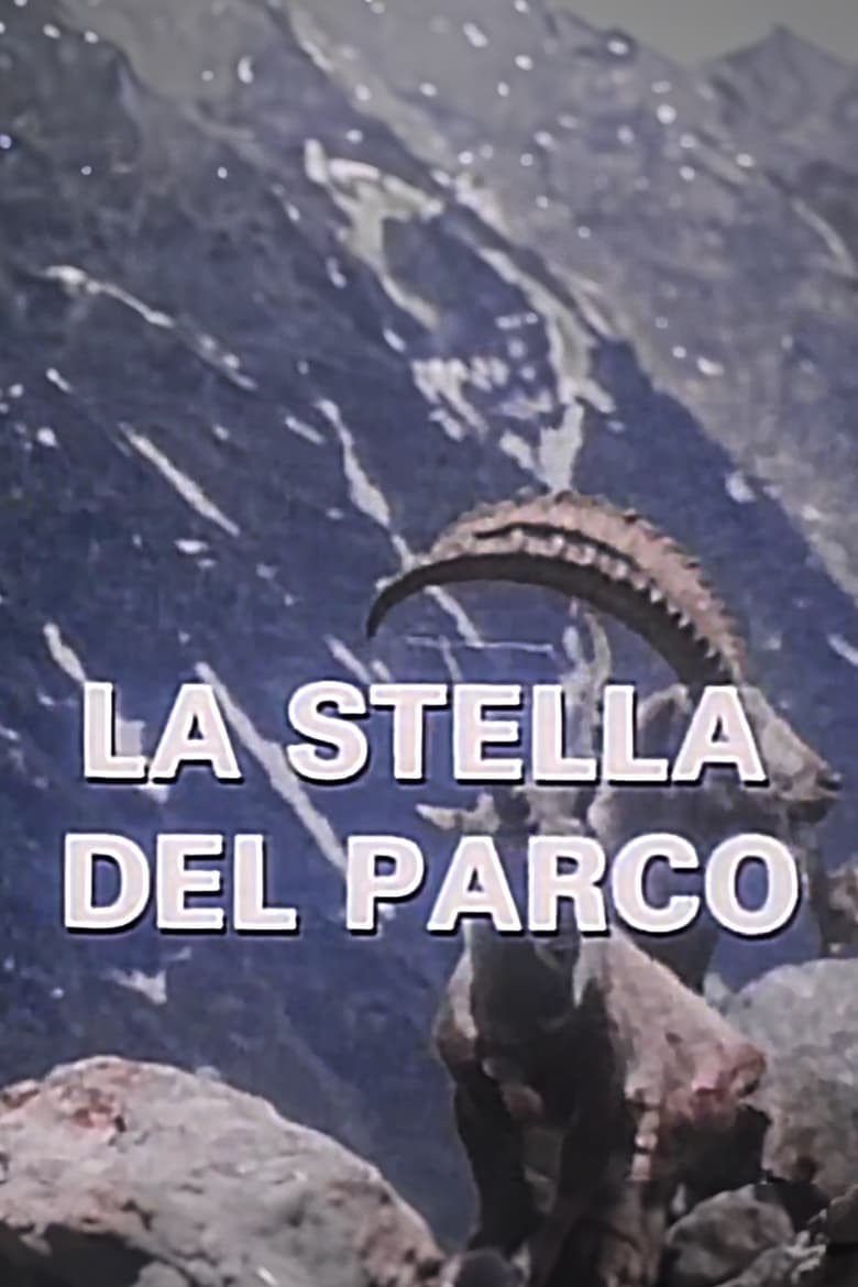 Poster of La Stella Del Parco