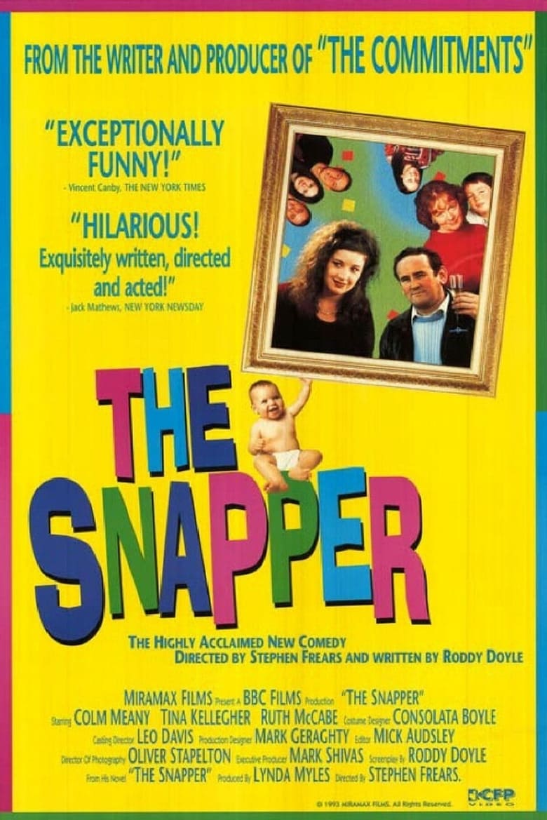 Poster of The Snapper