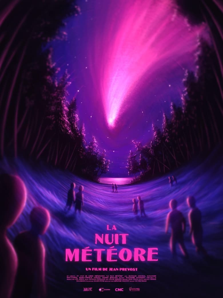 Poster of La nuit météore