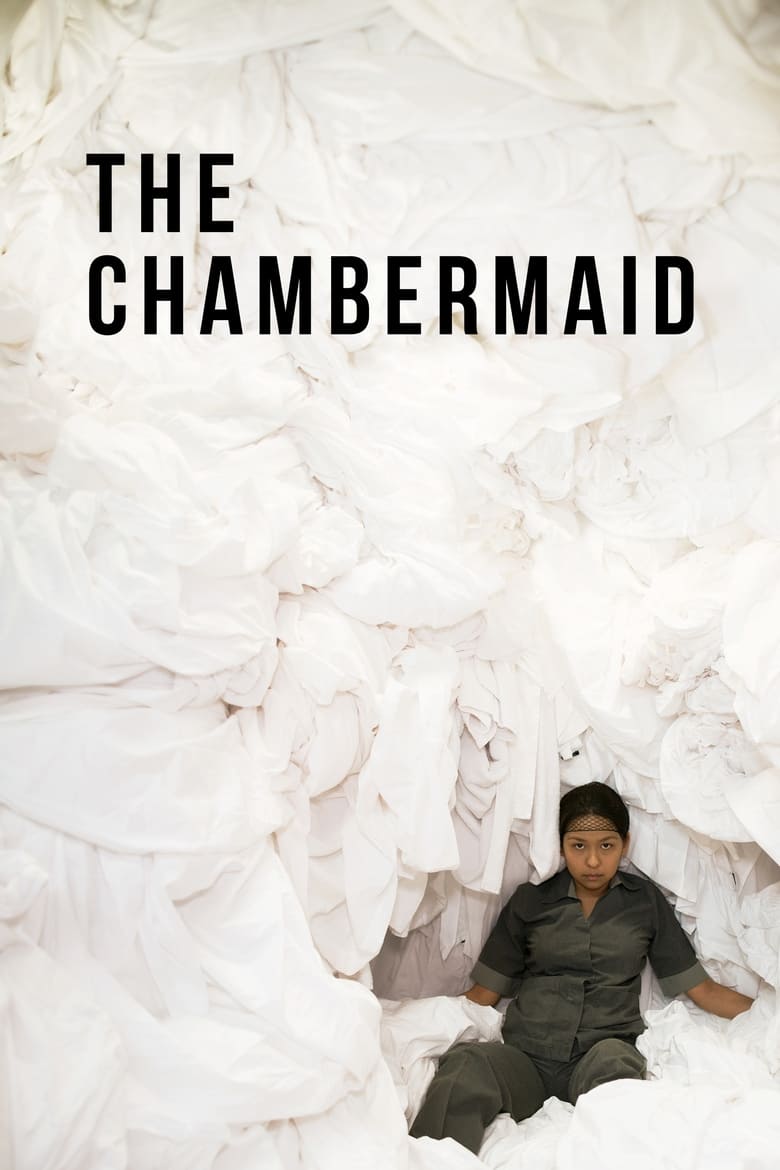 Poster of The Chambermaid