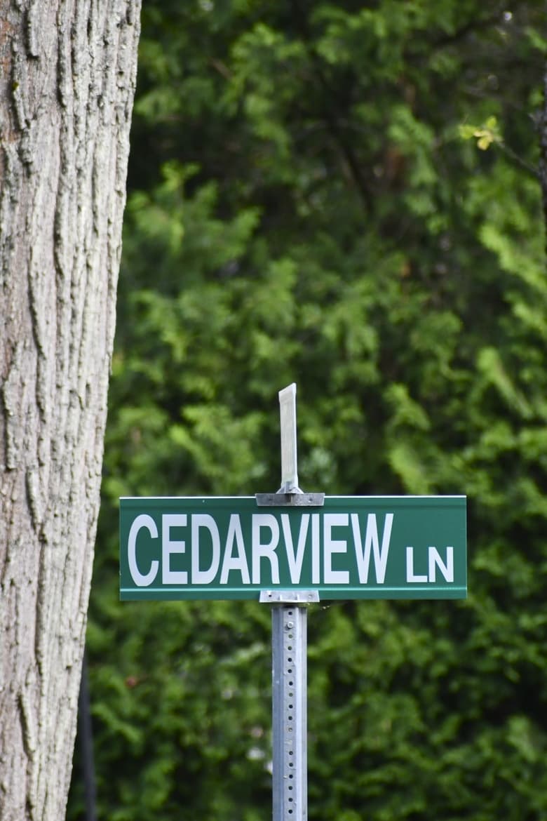 Poster of Cedarview