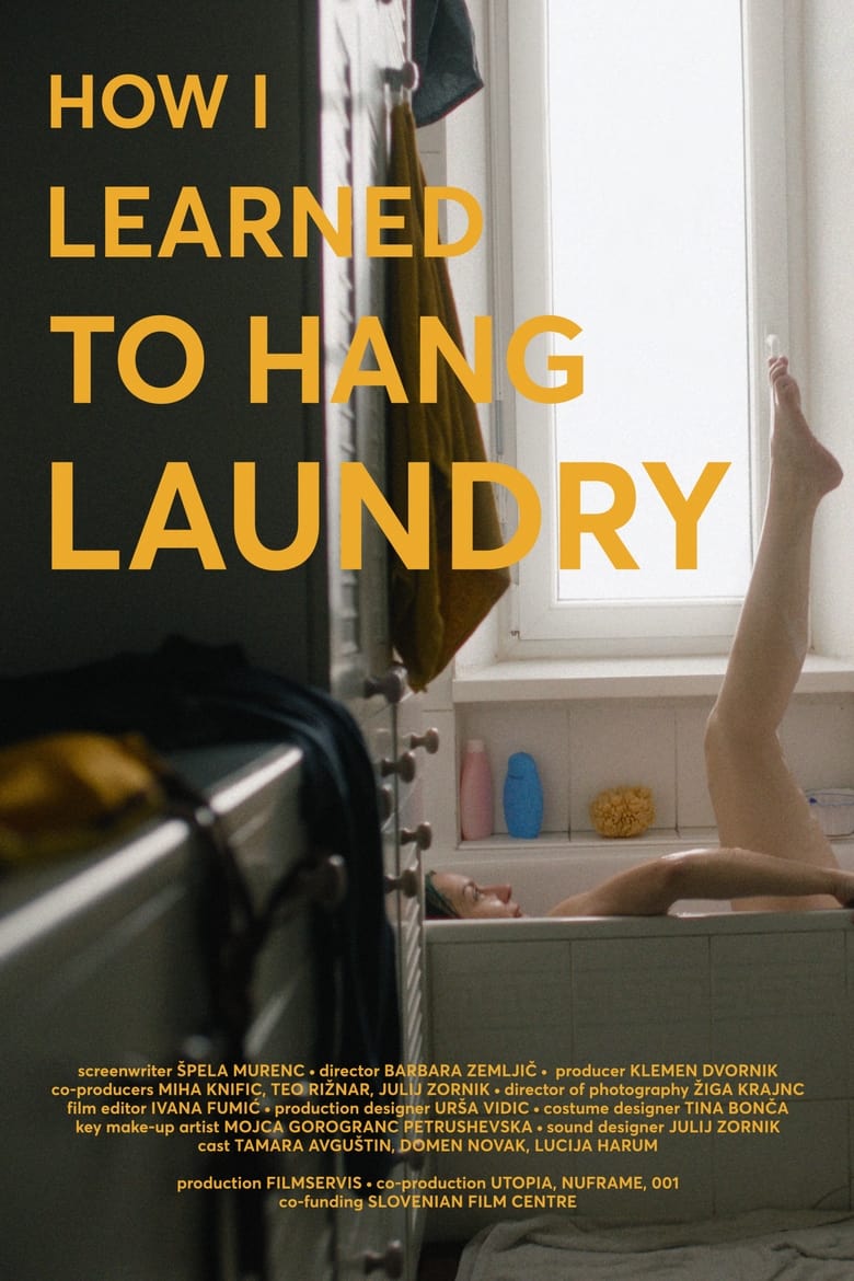 Poster of How I Learned to Hang Laundry