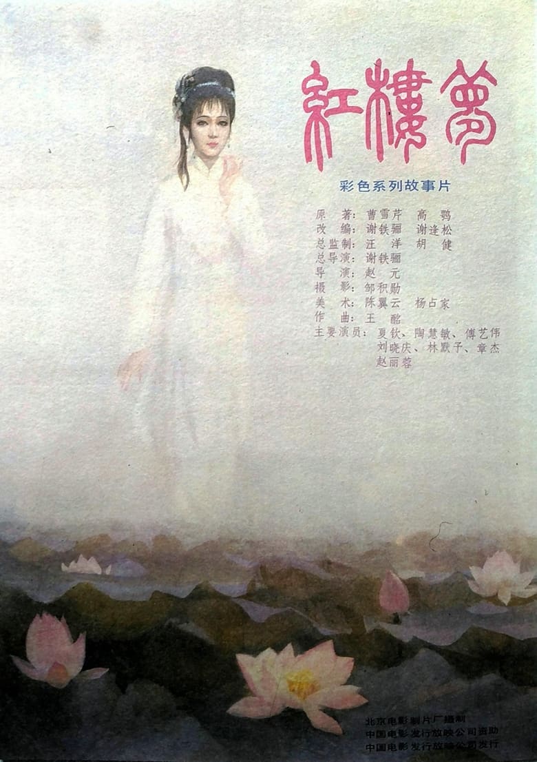 Poster of 红楼梦第六部：宝玉化石