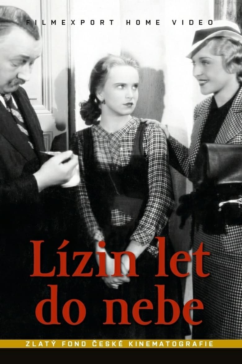 Poster of Lízin let do nebe