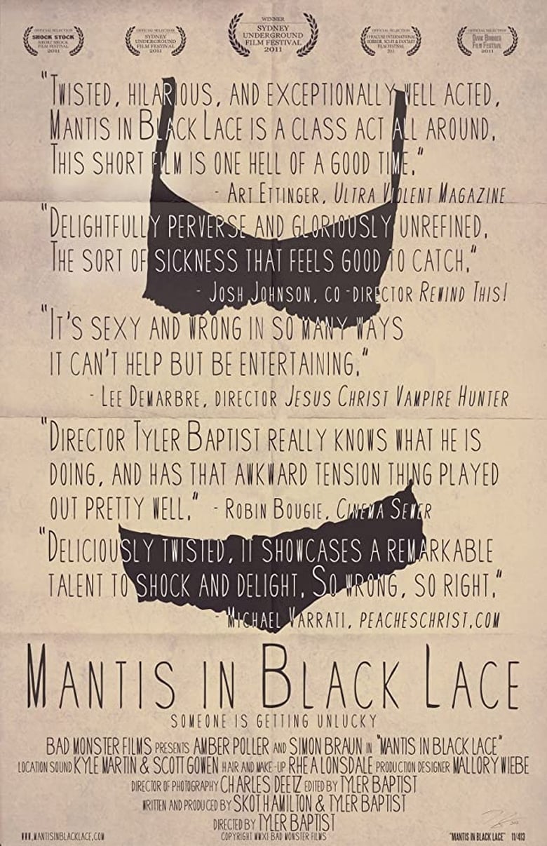 Poster of Mantis in Black Lace