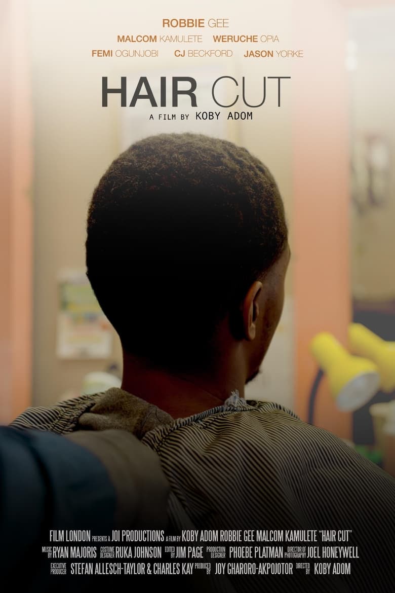 Poster of Haircut