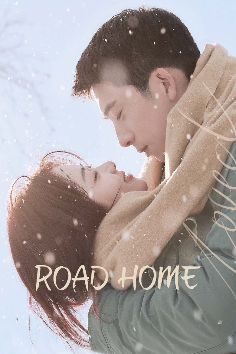 Poster of Road Home