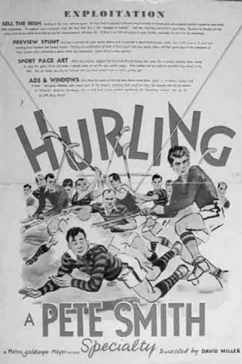 Poster of Hurling