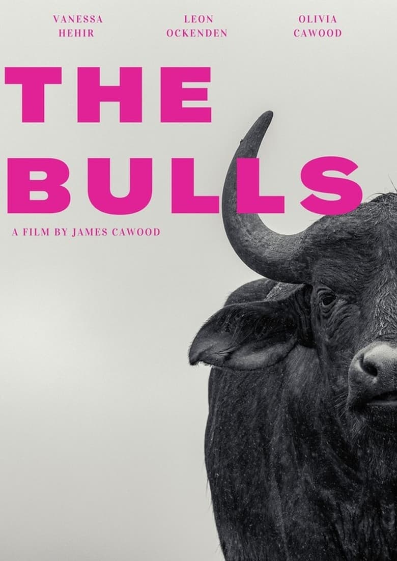 Poster of The Bulls