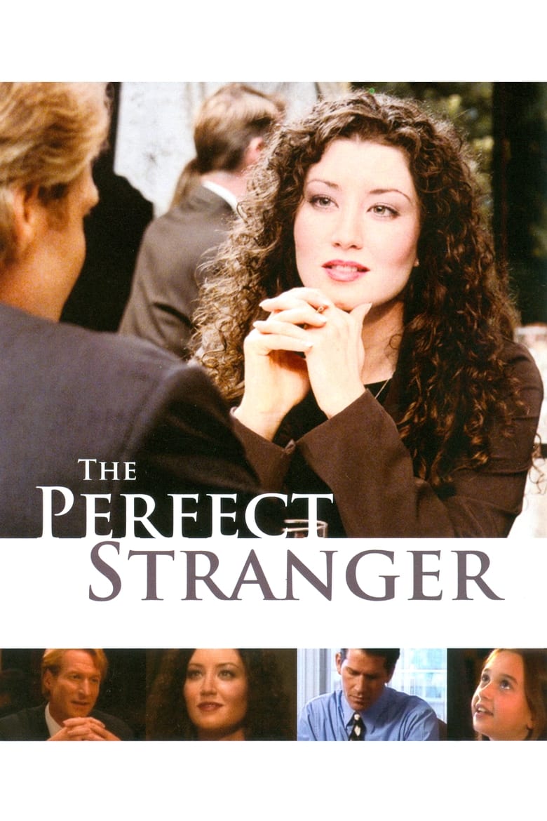 Poster of The Perfect Stranger