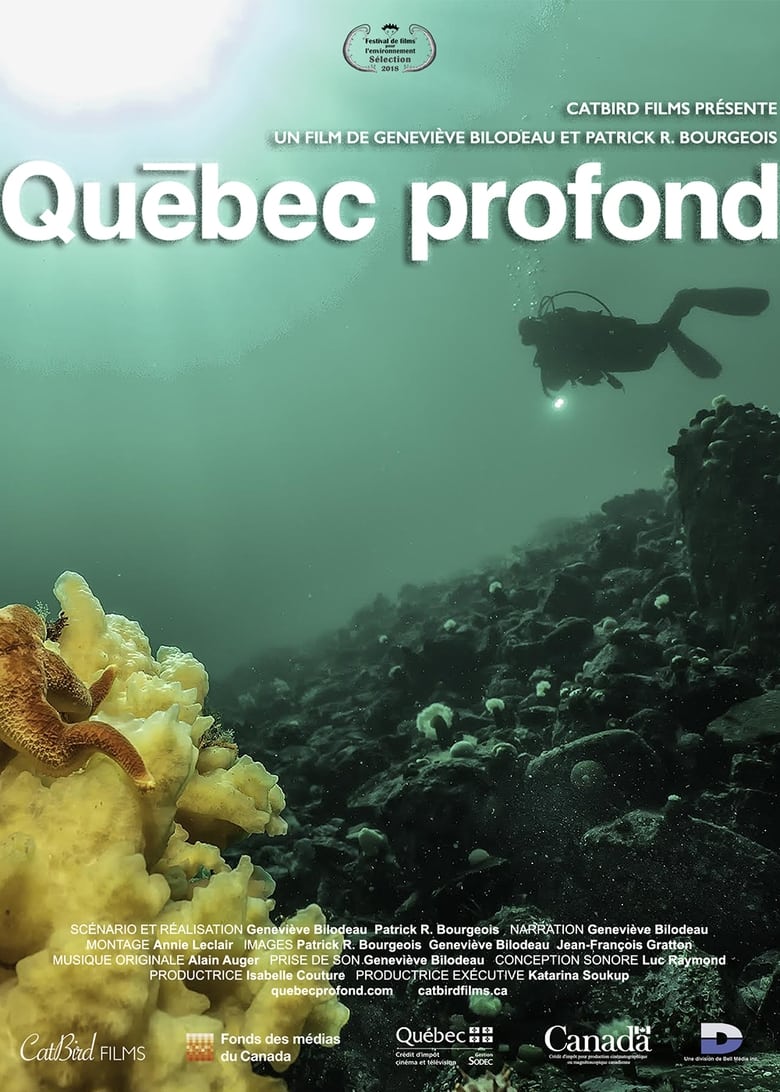 Poster of Deep Québec