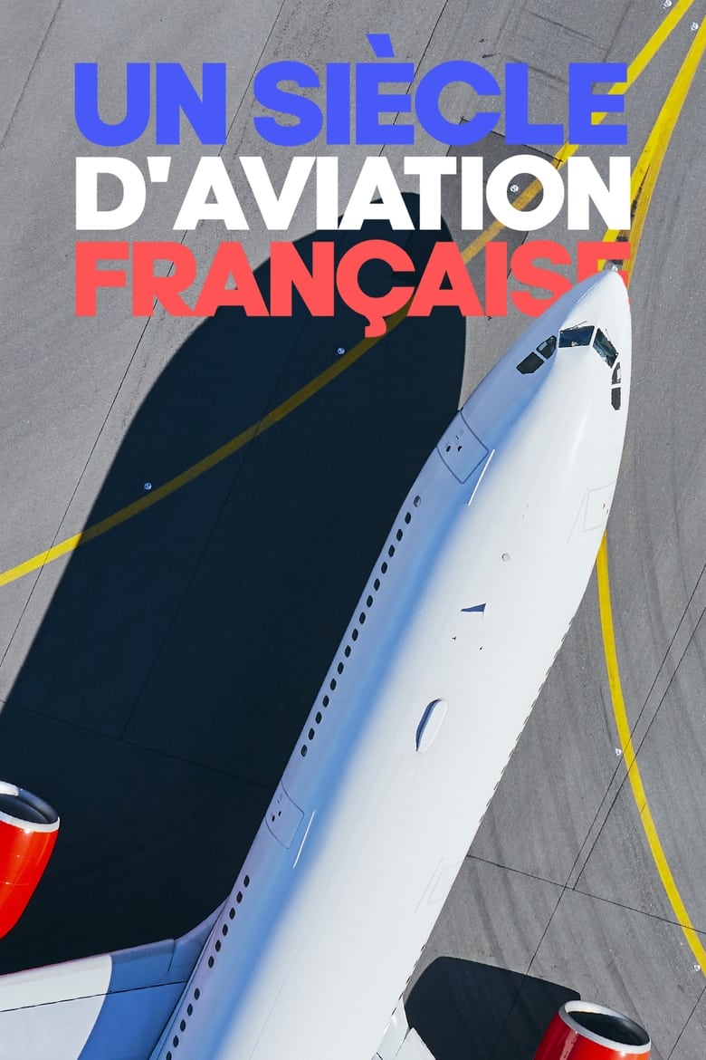 Poster of Un siècle d'aviation française