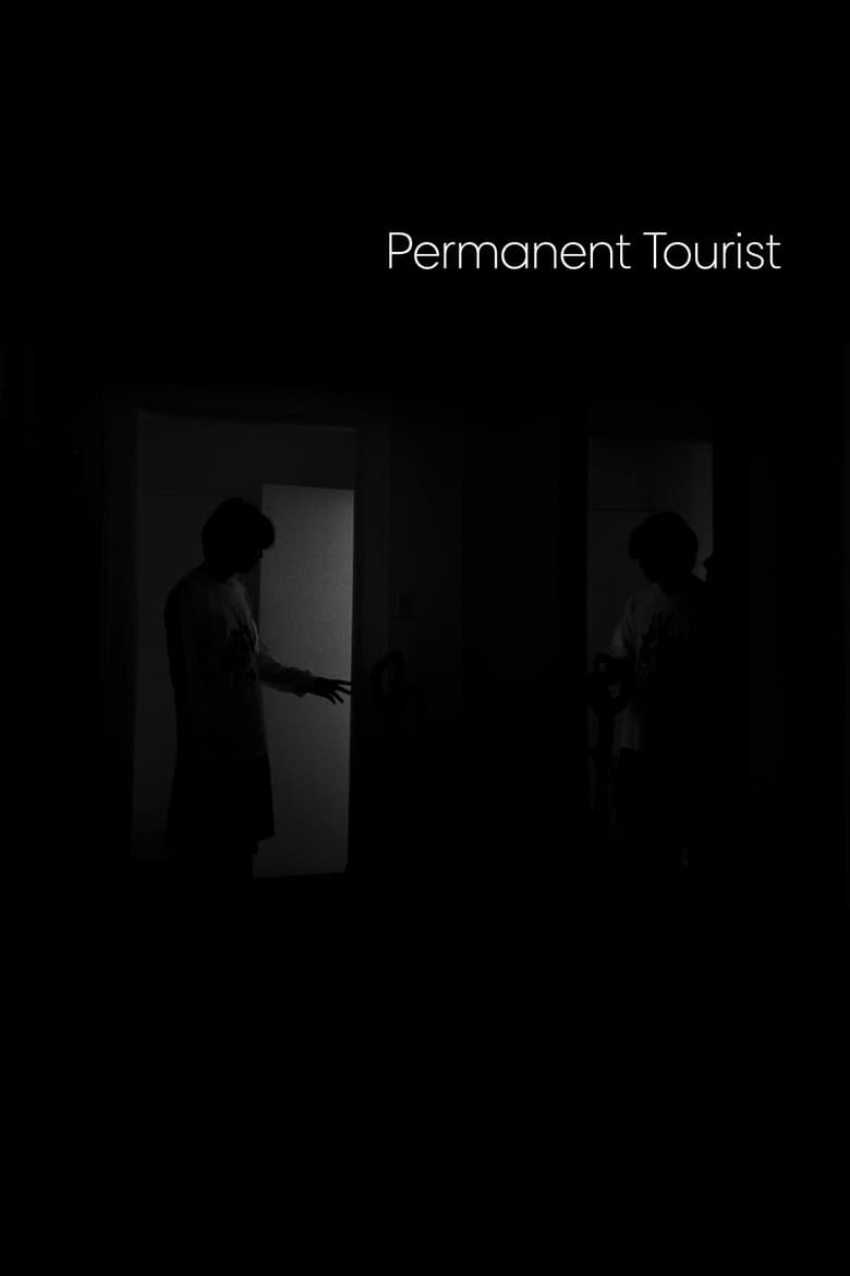 Poster of Permanent Tourist