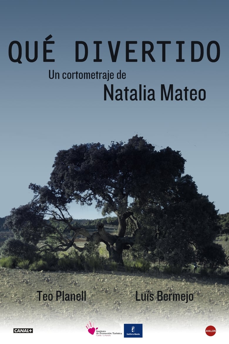 Poster of Qué divertido