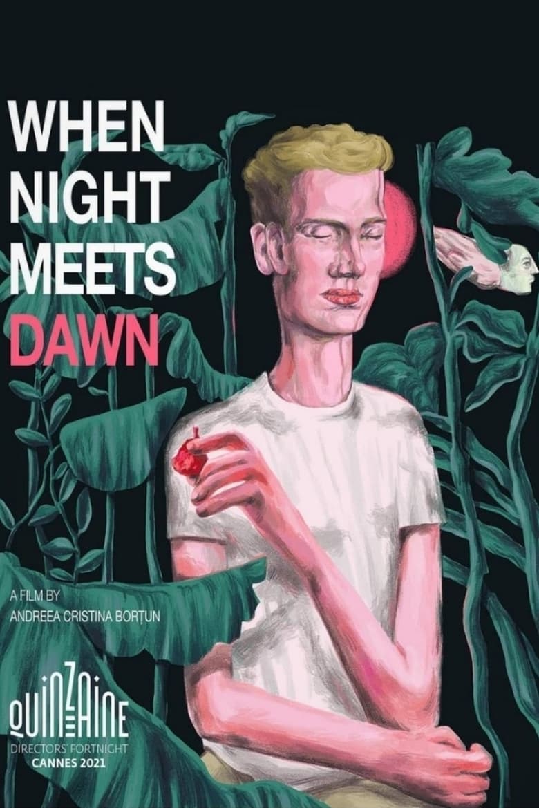 Poster of When Night Meets Dawn