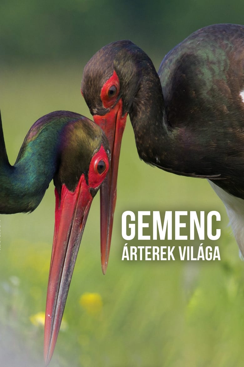 Poster of Gemenc – The World of Floodplains