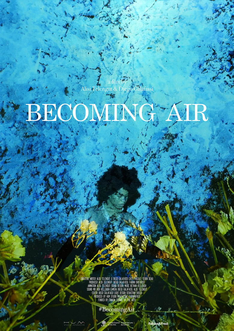 Poster of Becoming Air