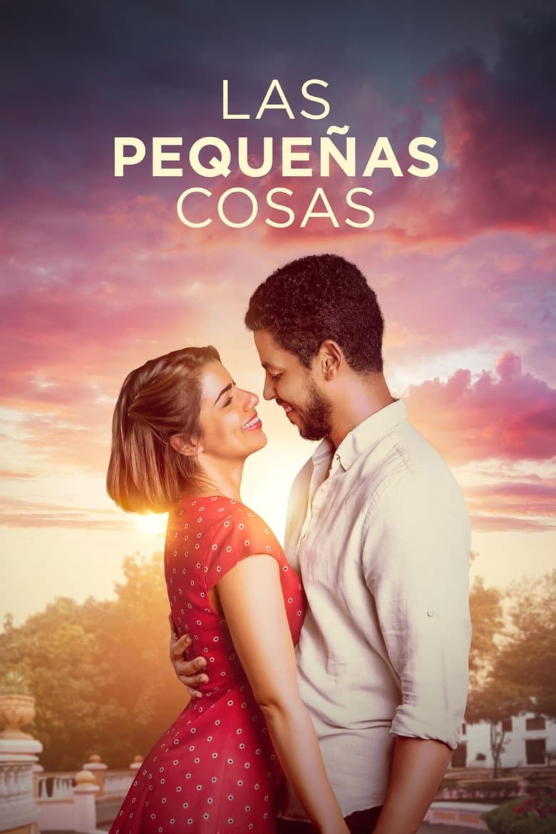 Poster of Las Pequeñas Cosas