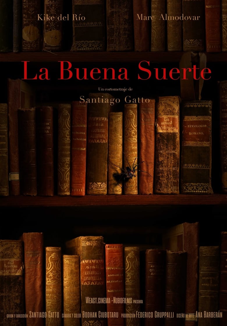 Poster of La Buena Suerte