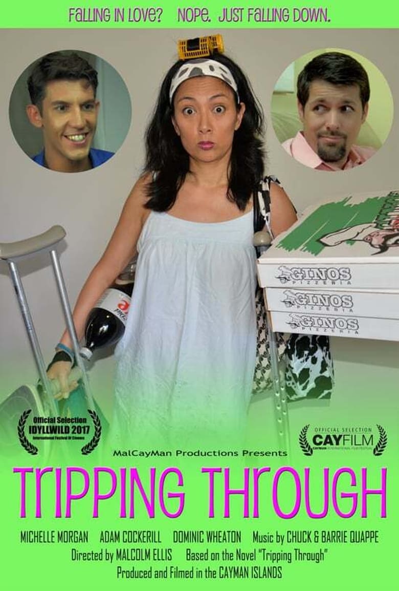 Poster of Tripping Through