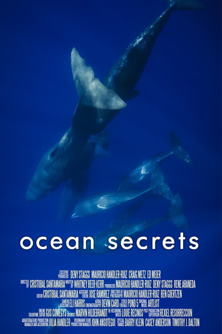 Poster of Ocean Secrets