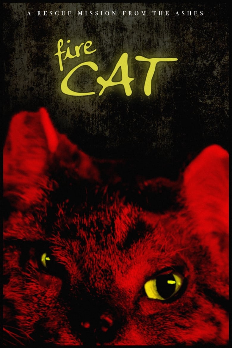 Poster of Fire Cat