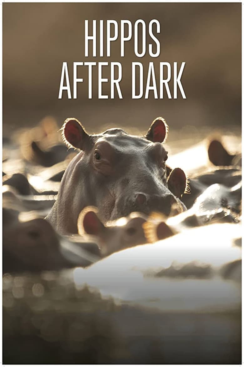 Poster of Hippos after Dark