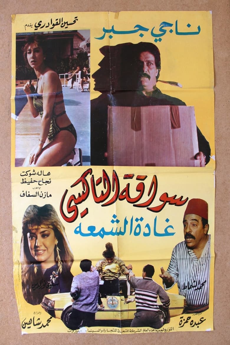 Poster of The Female Taxi Driver