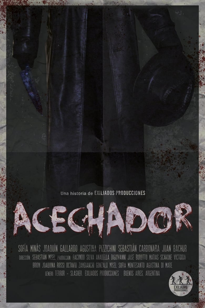 Poster of Acechador