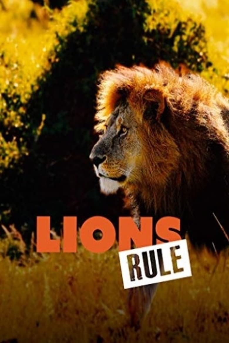 Poster of Lions Rule