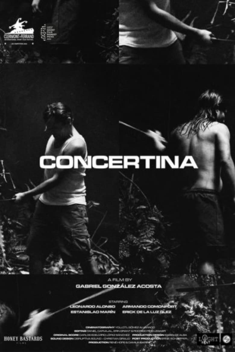 Poster of Concertina