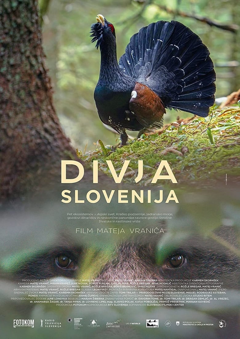 Poster of Wild Slovenia