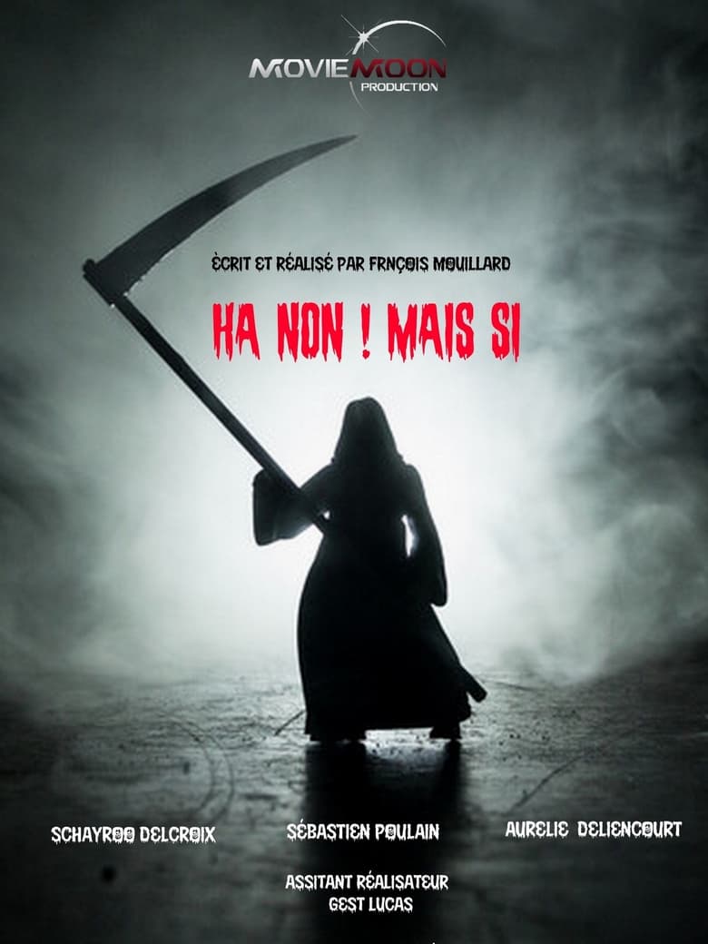 Poster of Ha non ! Mais si