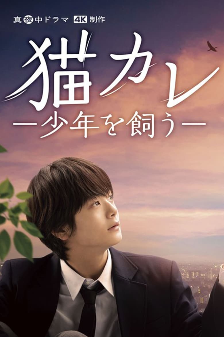 Poster of Taking in a Stray