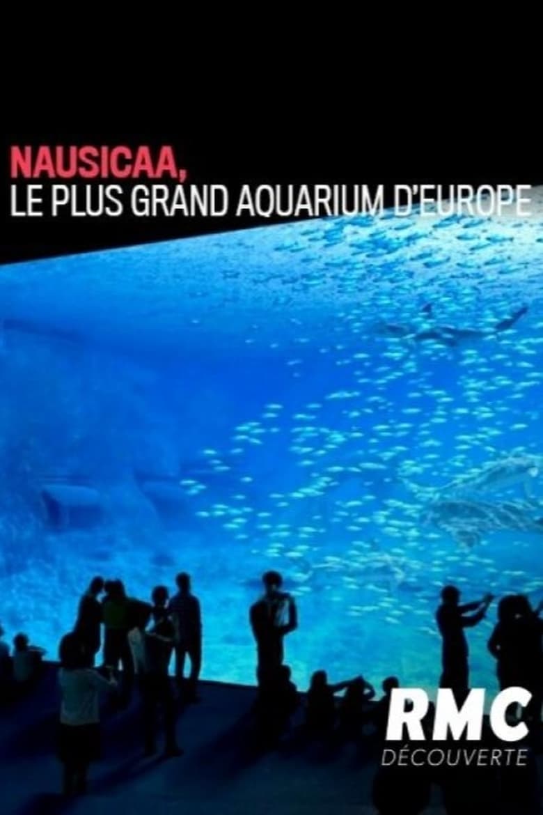 Poster of Nausicaa: The Largest Aquarium in Europe