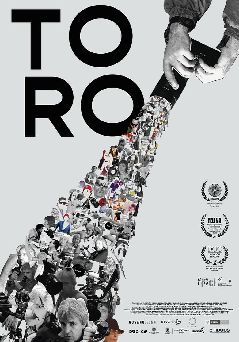 Poster of Toro