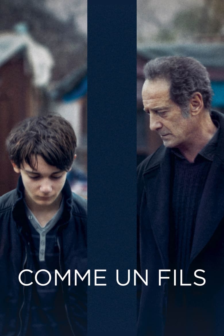 Poster of Like a Son