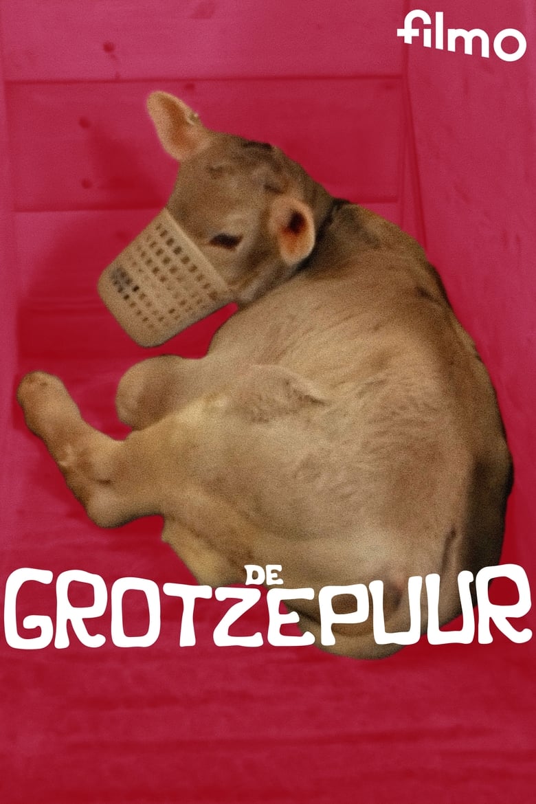 Poster of De grotzepuur