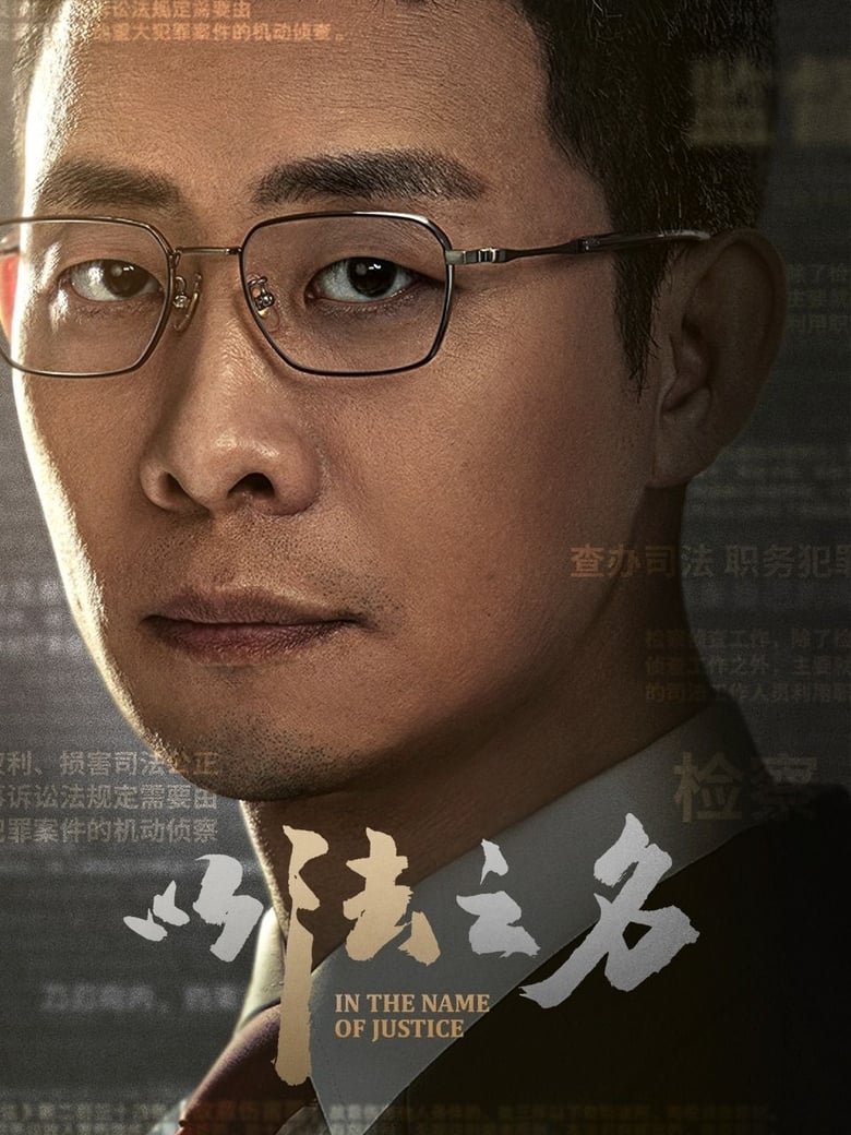 Poster of 以法之名