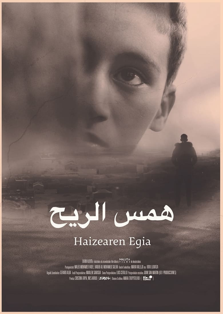 Poster of Haizearen egia